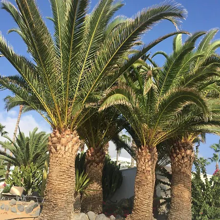 Cosy With Rooftop Terrace And Wifi Apartamento Valle de San Lorenzo